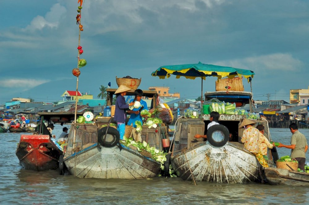 cay beo on floating boat